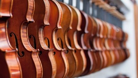 What is a violin and how to choose it?