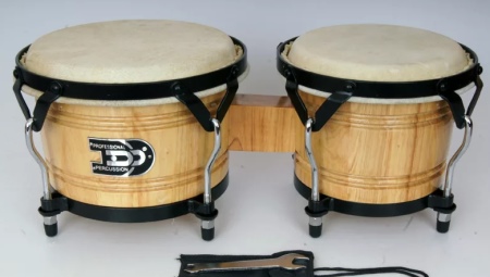Bongo musical instrument