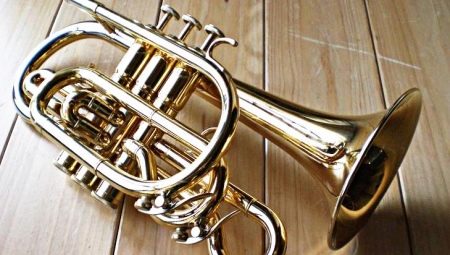 Musical instrument cornet