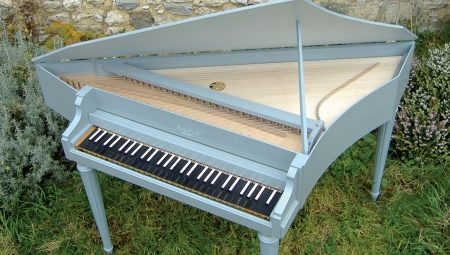 Musical instrument spinet