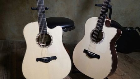 Ibanez Acoustic Guitars Review