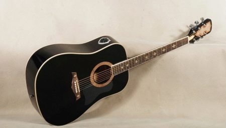 Features of electro-acoustic guitars and their choice