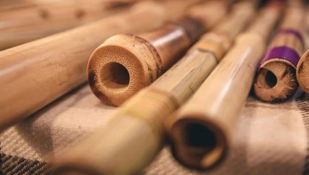Features of the shakuhachi and playing it