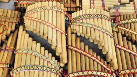 All about Pan's flute
