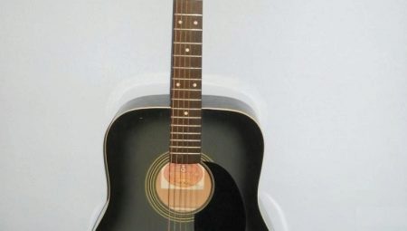 All about Trembita guitars