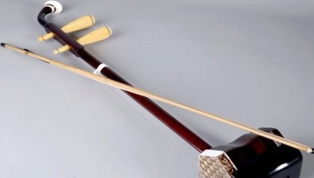 All about the musical instrument erhu