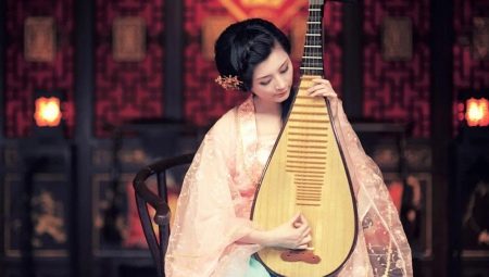 All about pipa musical instrument