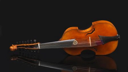 All about the musical instrument viola