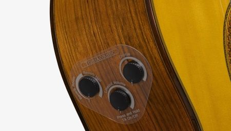 All about transacoustic guitars