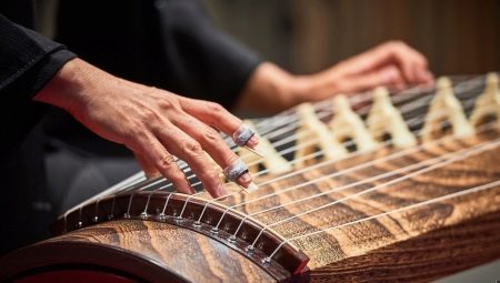 All about the instrument koto