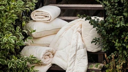 Which blanket is better to choose: camel or sheep?