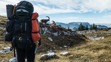 Description of Tatonka backpacks