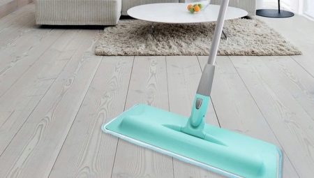 Features of Hausmann mops