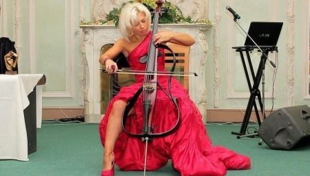 Review of the musical instrument electric cello