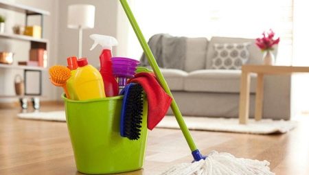 Cleaning the apartment