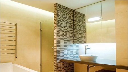 All about partitions in the bathroom