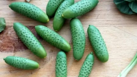 Comment mouler un concombre en pâte à modeler ?