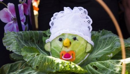 What kind of crafts can you make from cabbage?