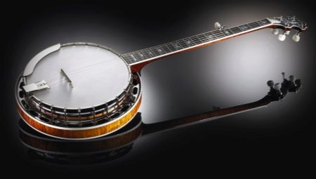 Features of the banjo and the subtleties of playing on it