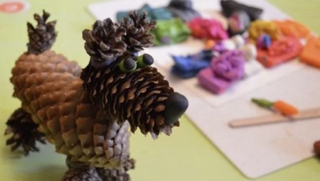 Crafts from fir cones