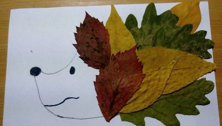 Applications of animals from leaves