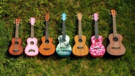What is a ukulele and how to choose an instrument?
