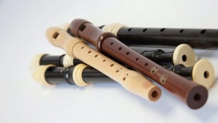 Flute: description and varieties