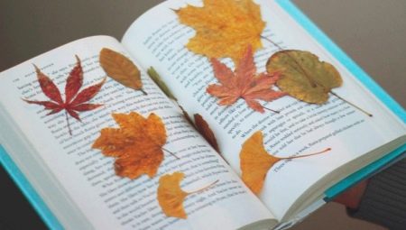 Comment économiser des feuilles pour l'artisanat?