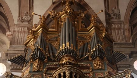 What is an organ and what is an instrument like?