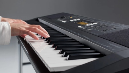 What does a synthesizer look like and how to play it?
