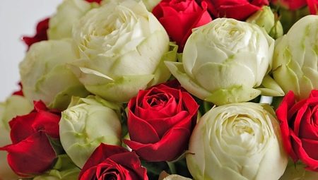 How do roses sound in the language of flowers?