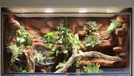Features of backgrounds for terrariums