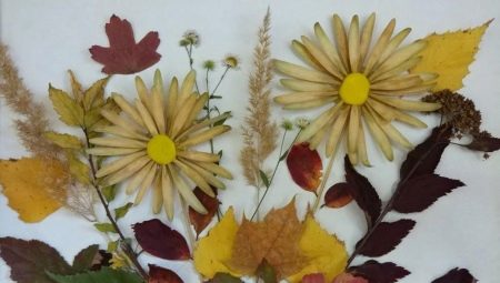 Appliques Autumn bouquet of leaves