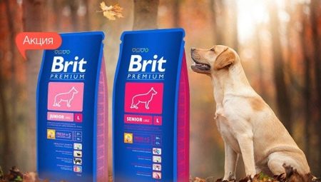 Brit range of food for large breed dogs