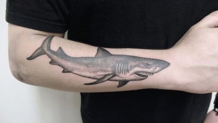 What do Shark tattoos mean and what can they be?
