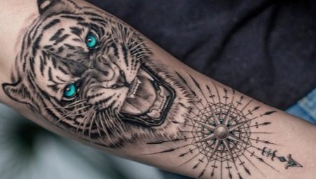 What do tiger grin tattoos mean and what are they like?