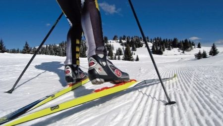Poles length for skating