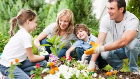 Should there be common hobbies in the family and what can they be?