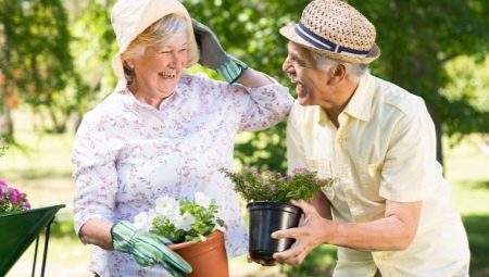 Hobby for retirees