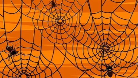 Comment et à partir de quoi faire une araignée et une toile pour Halloween ?