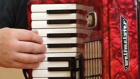 How to play the accordion correctly?