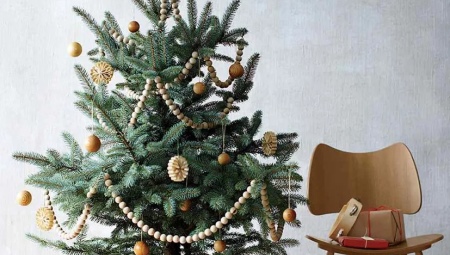How to decorate a live Christmas tree?