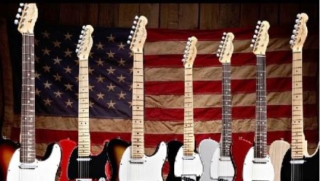 How to choose an electric guitar for beginners?