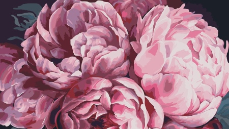 Peindre par numéro avec des pivoines