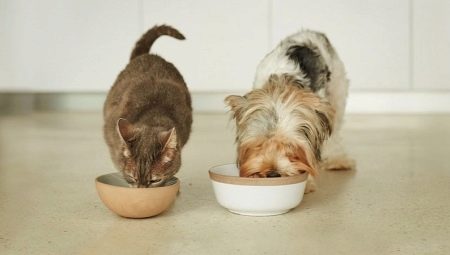 Nourriture Animonda pour chats et chiens