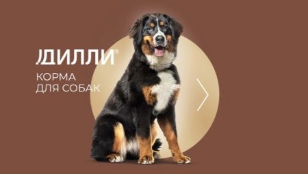 Dilly dog ​​food