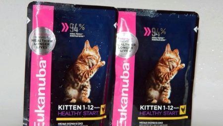 Eukanuba cat food