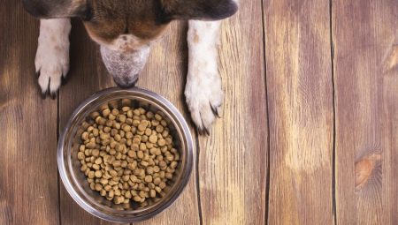 All Dogs dog food