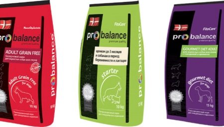Nourriture pour chiens ProBalance