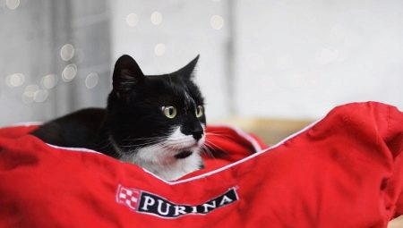 Nourriture de marque Purina